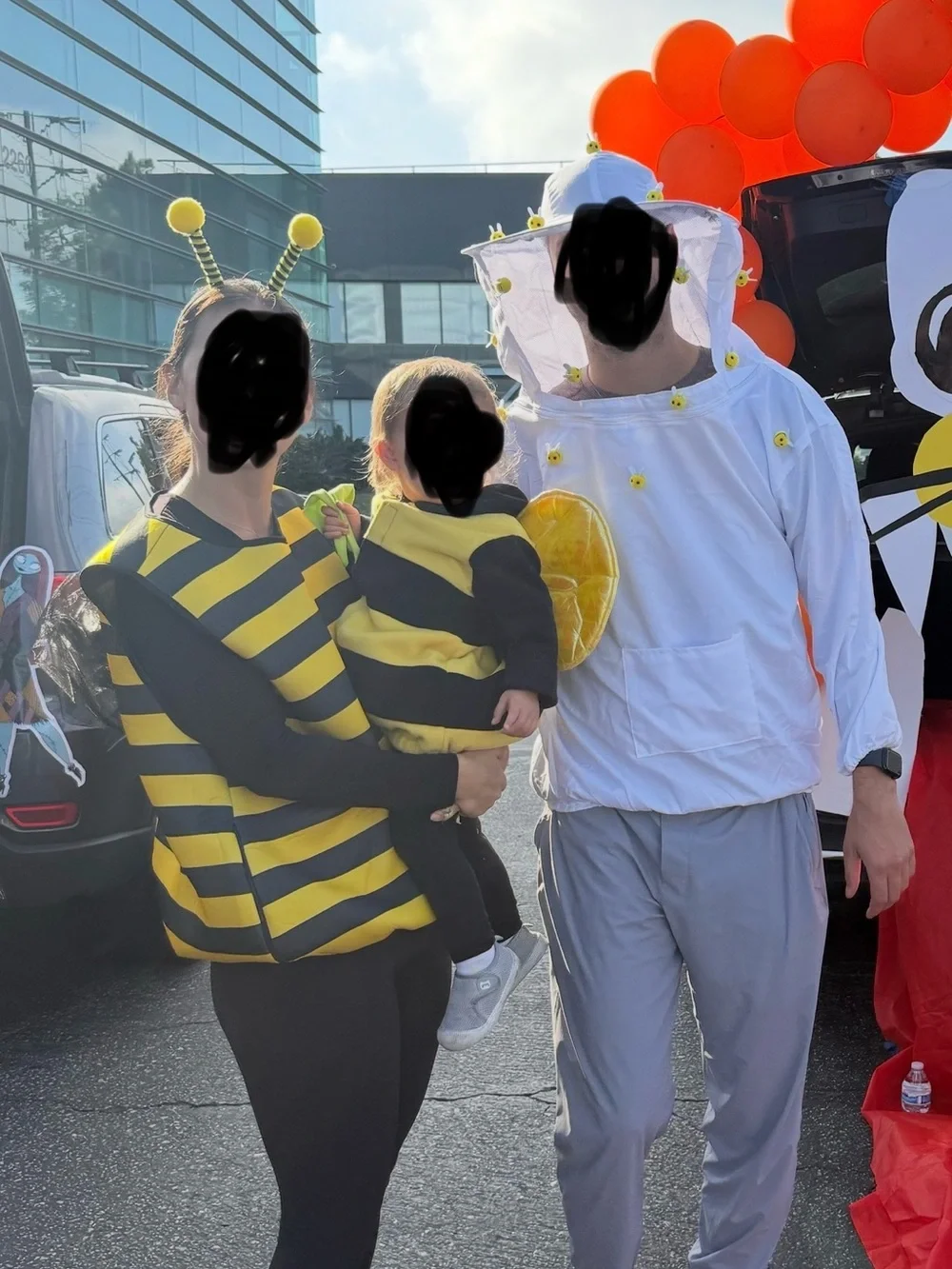 Family Bee Costume - 3 pieces